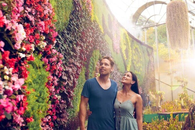 Sydney Walking Tour - Hidden Gems - Who Will Love This Tour?