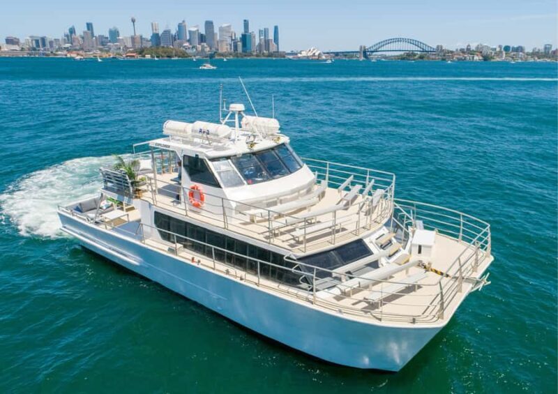 Sydney: Whale Watching Adventure Cruise - Introduction