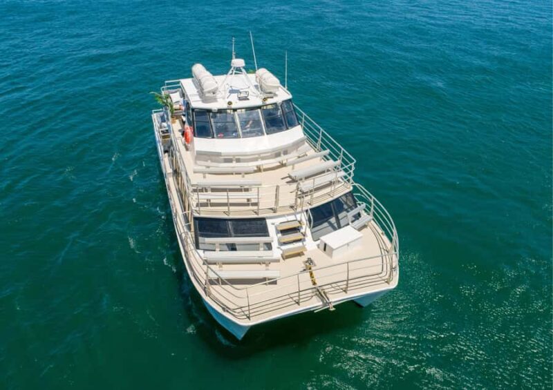 Sydney: Whale Watching Adventure Cruise - The Boat & Comfort