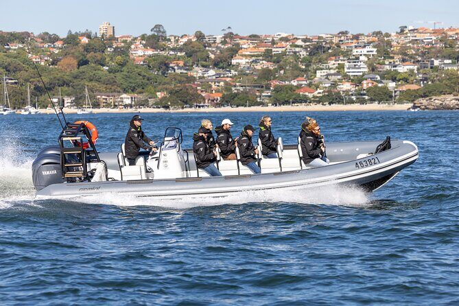 Sydney Whale Watching on Small RIB - Good To Know