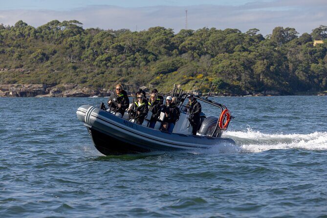 Sydney Whale Watching on Small RIB - The Sum Up