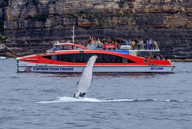 Sydney: Whale Watching & Wildlife Cruise - FAQ