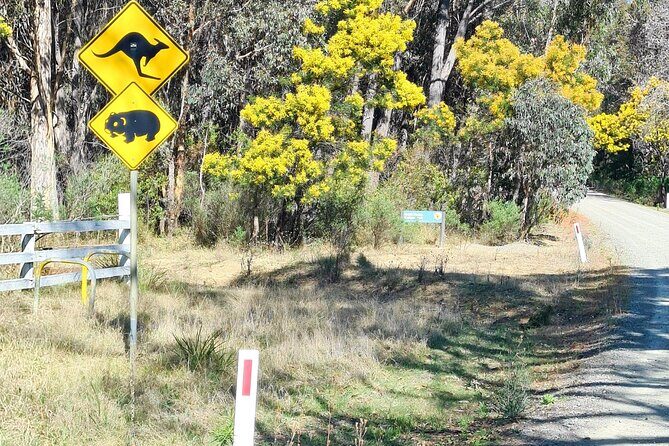Sydney Wildlife Safari - Exploring the Itinerary in Detail