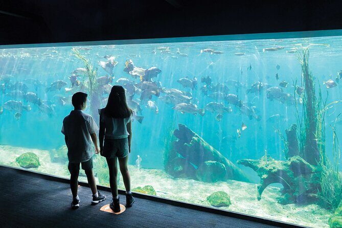 Sydney Zoo General Entry Admission Ticket - FAQs