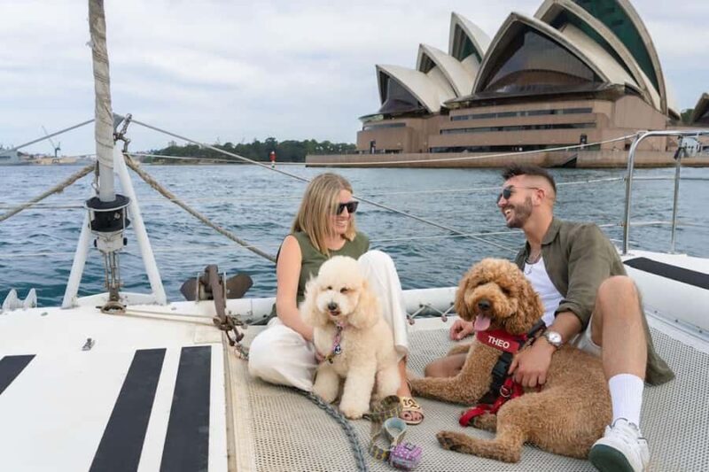 Sydney's 1st Dog Friendly Harbour Cruise: Dogs on Deck - Good To Know