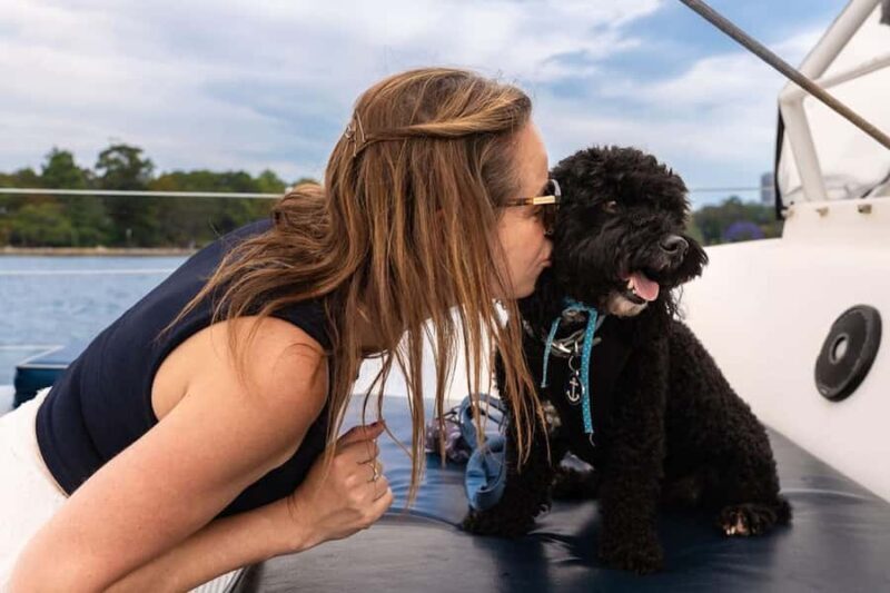 Sydney's 1st Dog Friendly Harbour Cruise: Dogs on Deck - Who Will Love This Experience?