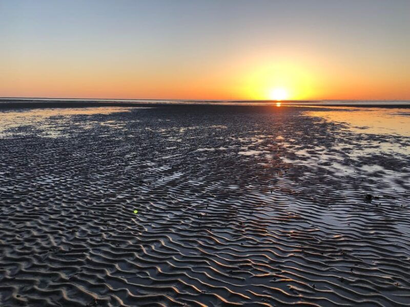 Sylt: Guided Mudflat Hike on the Island - Final Thoughts