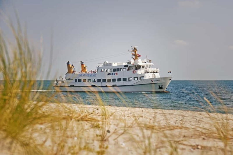 Sylt: Shell safari with boat | incl. Mussel tasting & 1 glass of wine - Good To Know