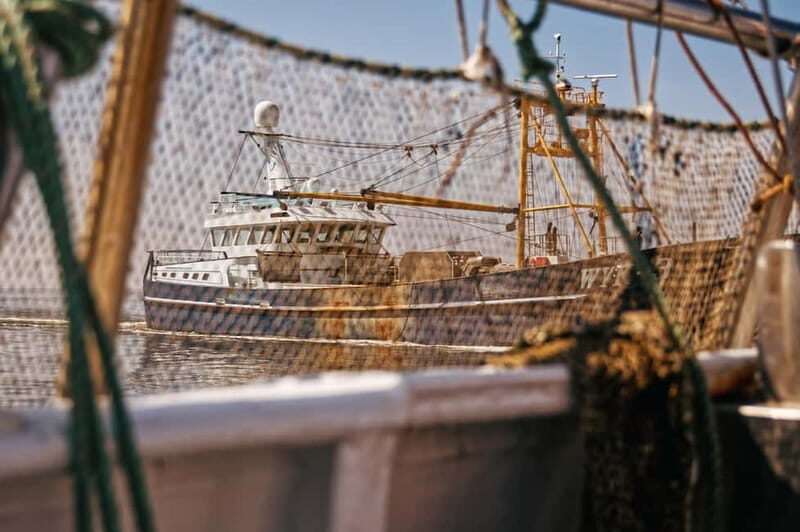 Sylt: Shell safari with boat | incl. Mussel tasting & 1 glass of wine - The Itinerary: What You Can Expect