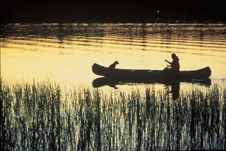 Syracuse: Ciane River Nature Reserve Guided Canoe Ride - Experience Highlights