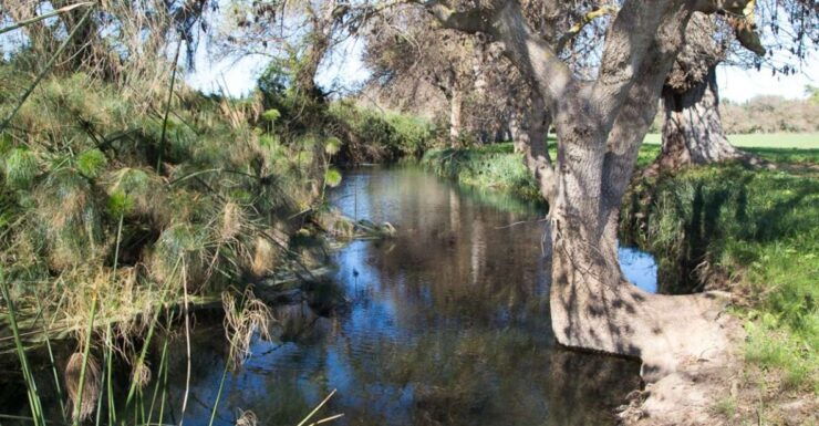 Syracuse: Ciane River Nature Reserve Guided Trek - Activity Details