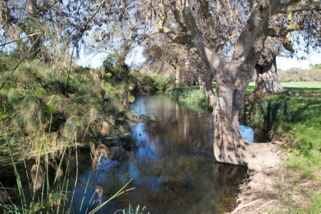 Syracuse: Ciane River Nature Reserve Guided Trek - Experience Description