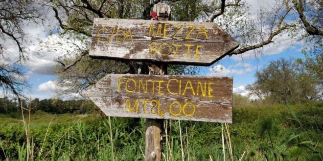 Syracuse: Ciane River Nature Reserve Guided Trek - Directions for Guided Trek