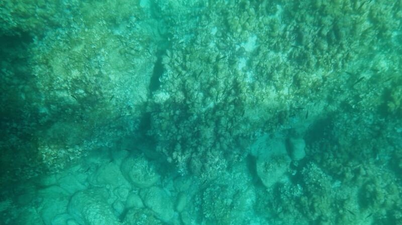 Syracuse: Coast and Sea Caves Full Transparent Boat Tour - Why the Syracuse: Coast and Sea Caves Tour Stands Out