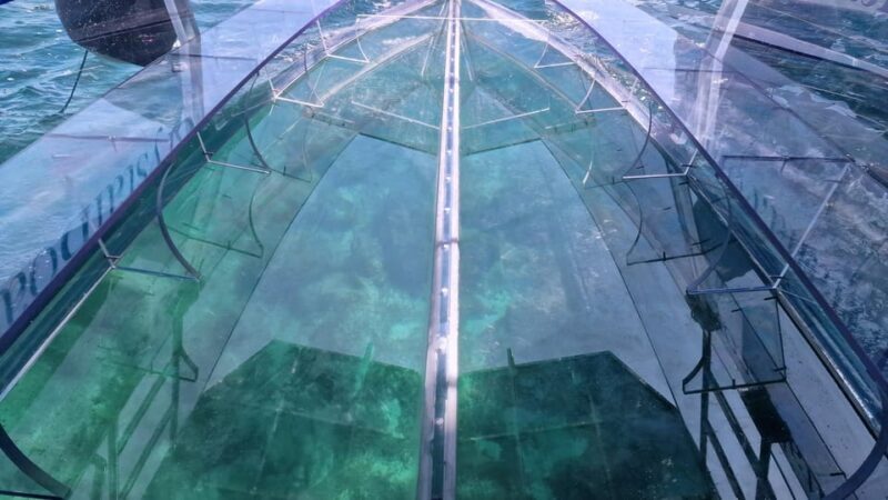 Syracuse: Coast and Sea Caves Full Transparent Boat Tour - The Sum Up