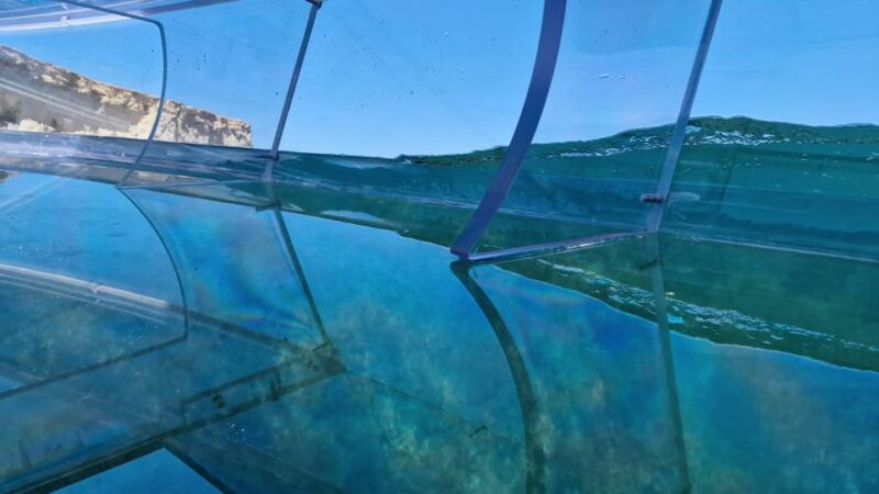 Syracuse: Coast+Sea Caves Full Transparent PRIVATE Boat Tour - Good To Know