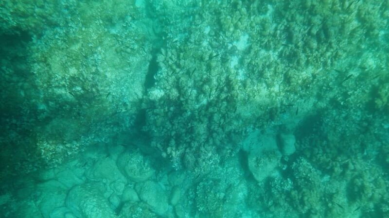 Syracuse: Coast+Sea Caves Full Transparent PRIVATE Boat Tour - The Value and Practicalities