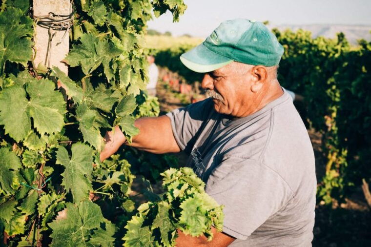 Syracuse: Exclusive Sicilian Wine Tasting Experience - Reservation and Cancellation Policy
