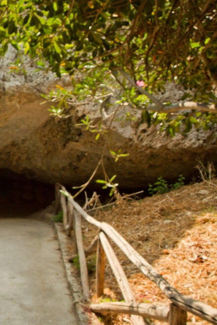 Syracuse: Greek Theater and Neapolis Sunset Tour - Customer Feedback