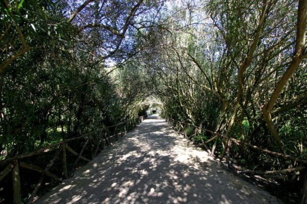 Syracuse: Neapolis Archaeological Park Small Group Tour - Tour Recommendations
