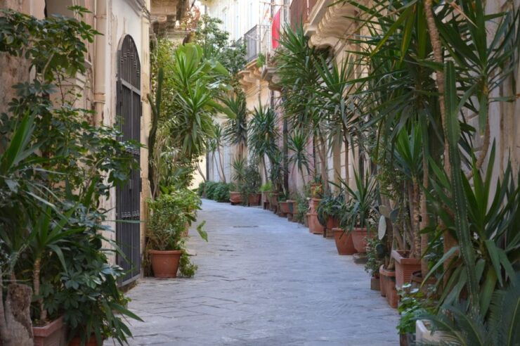 Syracuse: Ortigia and Neapolis Guided Walking Tour - Tour Duration and Language Options