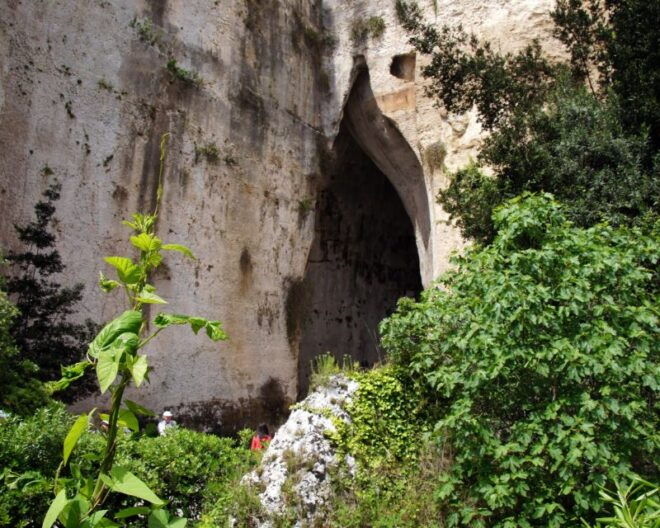 Syracuse Ortigia and Noto From Catania - Meeting Point and Reviews