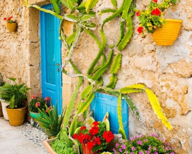 Syracuse, Ortigia, Marzamemi: Excursion From Catania - Booking Policies
