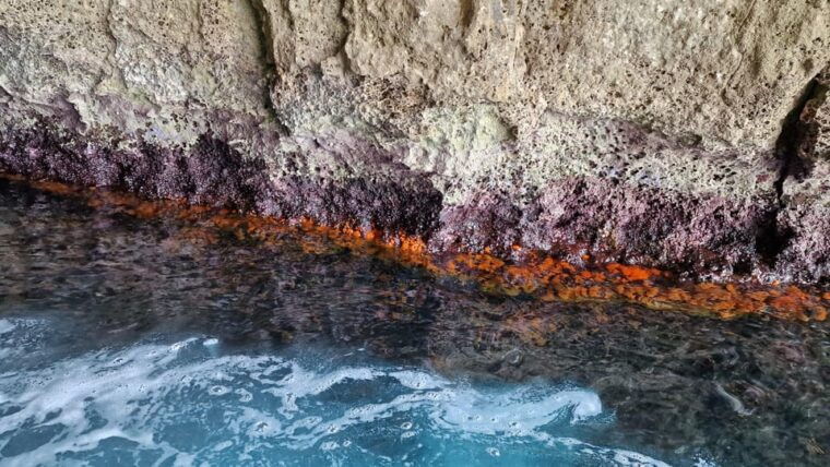 Syracuse: Picnic Boat Tour of Pillirina, Ortigia & Sea Caves - Discovering Marine Caves