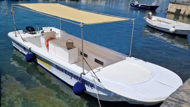 Syracuse: Picnic Boat Tour of Pillirina, Ortigia & Sea Caves - Customer Feedback and Ratings
