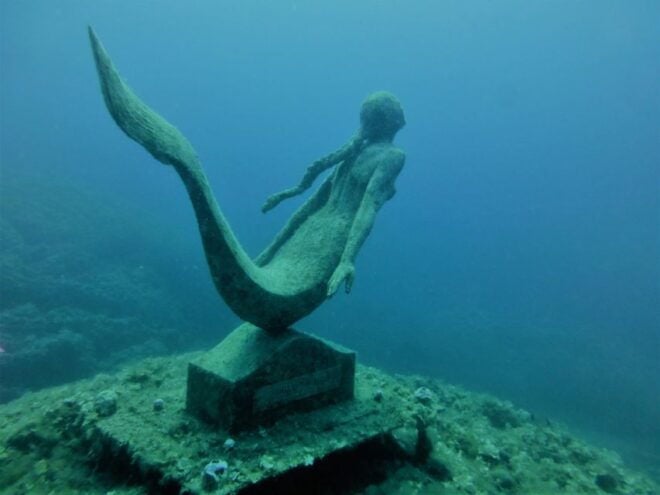 Syracuse : Scuba Diving for Beginners in the Plemmirio Area - Inclusions in the Package