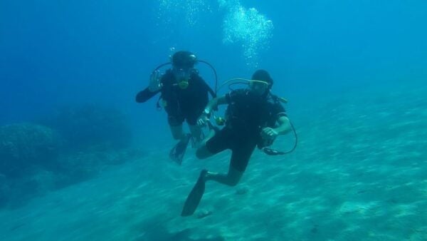 Syracuse : Scuba Diving for Beginners in the Plemmirio Area - Traveler Types and Experiences