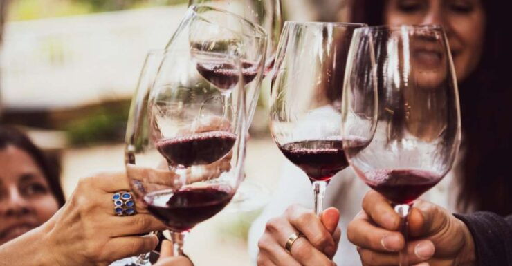 Syracuse: Wine Tasting in a Castle and Historical Garden - Tour Details