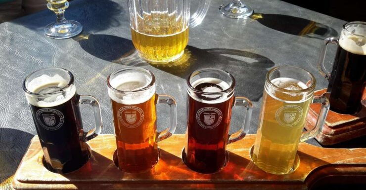 Szczecin Polish Beer and Food Tasting Private Tour - Tour Details