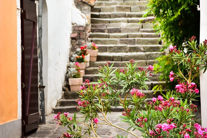 Szentendre Tour - Start Time