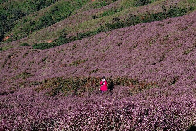 Ta Chi Nhu Cloud Hunt Journey from Hanoi - What Makes This Tour Stand Out?