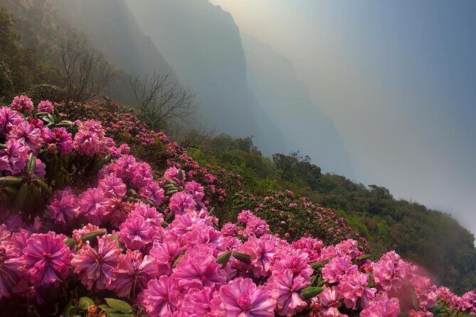 Ta Lien Son 2-Day Trekking Adventure from Hanoi - Frequently Asked Questions