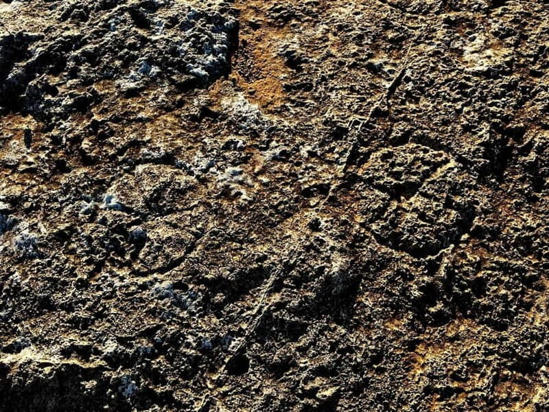 Tabaccara Promontory Tour - The Sum Up: Why Choose the Tabaccara Promontory Tour?