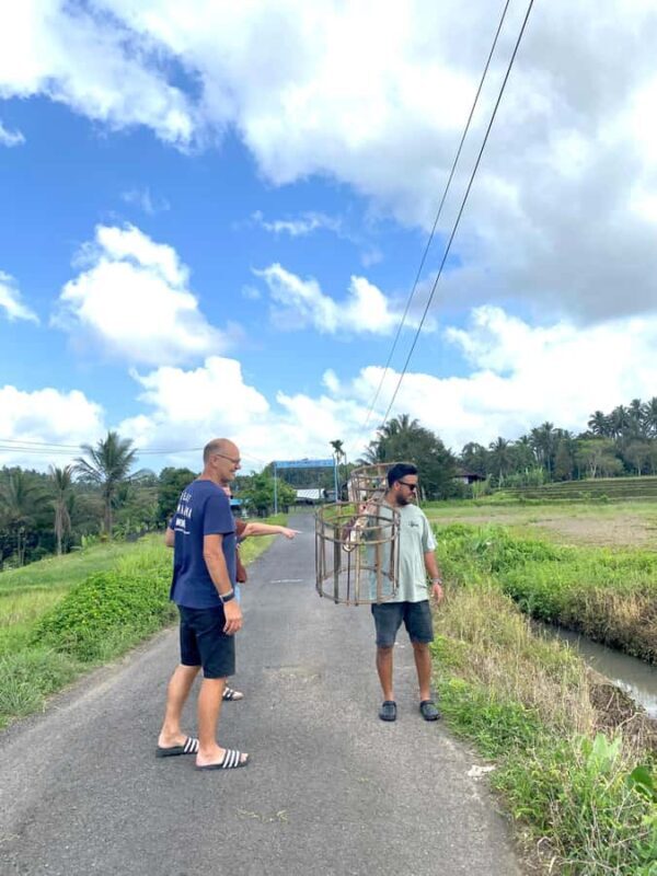 Tabanan: Belimbing Rice Terrace Trekking & Local Life Tour - Why This Tour Offers Great Value