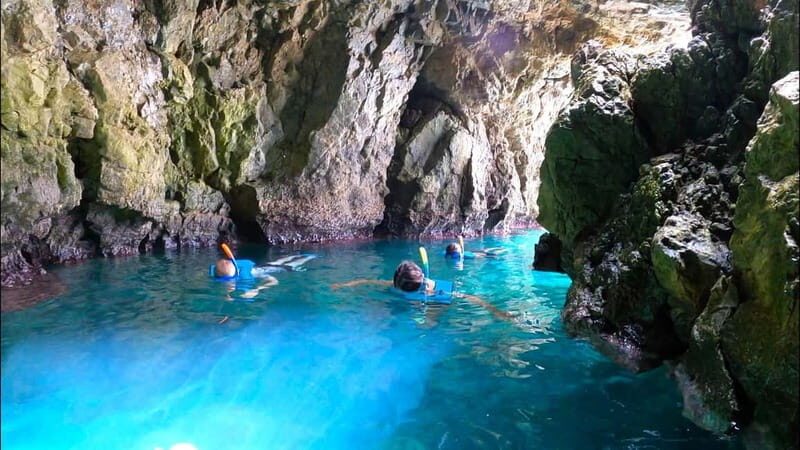 Tabarca Island: Guided Snorkel Excursion - A Closer Look at the Snorkeling Adventure