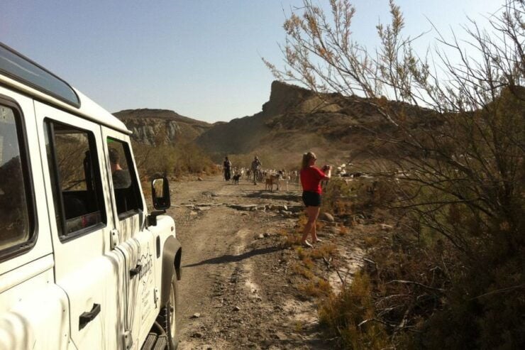 Tabernas Desert 4WD Adventure - Activity Details