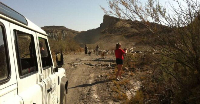 Tabernas Desert 4WD Adventure - Inclusions