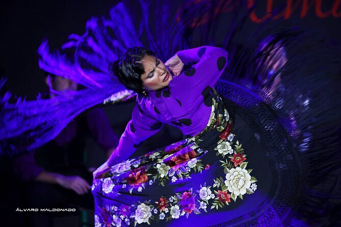 Tablao Flamenco Alma - Live Flamenco Show - The Experience: Pros and Cons