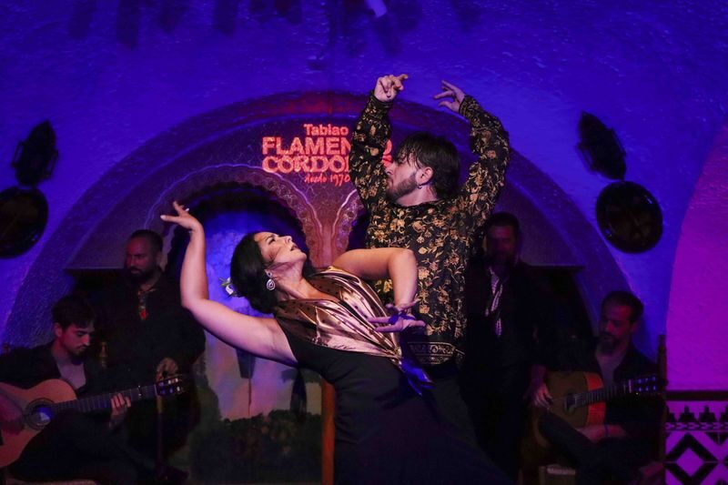 Tablao Flamenco Cordobes: Flamenco Show with Optional Food or Drinks - Who should book this show?