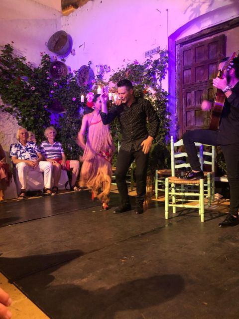 Tablao Flamenco La Puerta Ancha Entrance Ticket - Booking Information