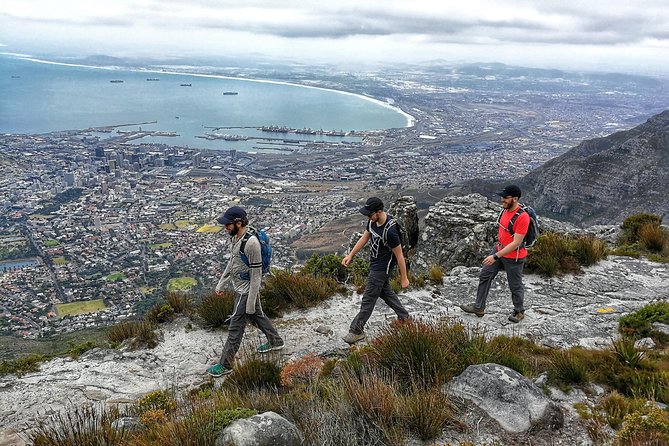 Table Mountain Adventurous Hike & Cable Car Down - Guides and Recommendations