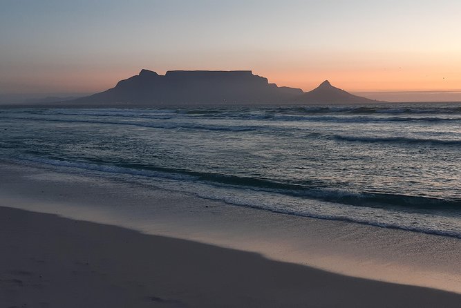 Table Mountain and Cape of Goodhope - Wildlife Encounters at Boulder Beach
