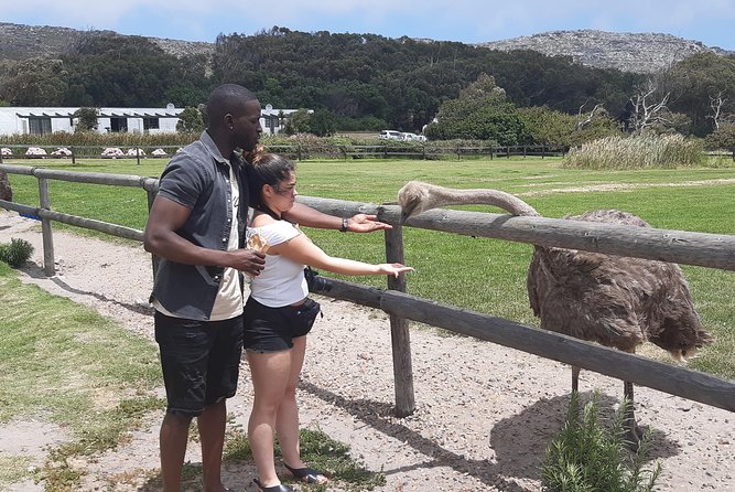 Table Mountain and Cape of Goodhope - Unforgettable Safari Experiences
