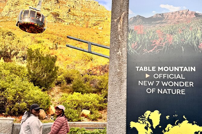 Table Mountain and Penguins Private Half Day Tour - Meeting and Pickup Details