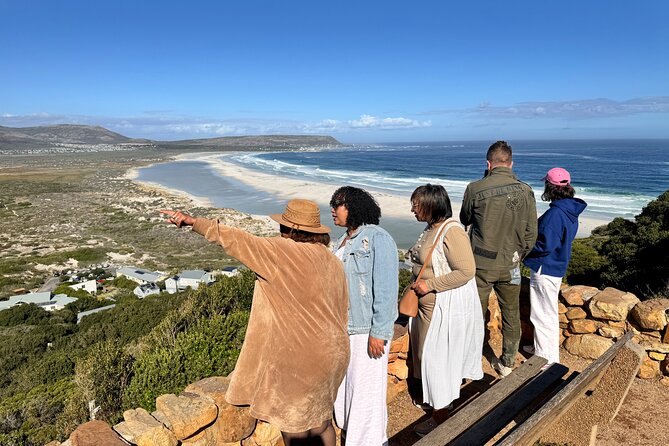 Table Mountain and Penguins Private Half Day Tour - Reviews and Ratings