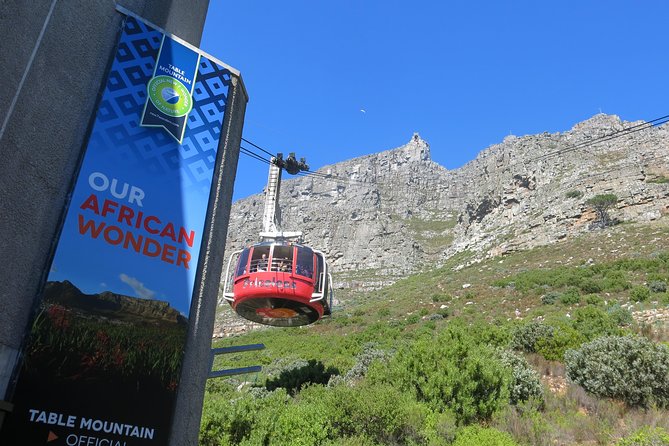 Table Mountain, Bo-Kaap and Robben Island - Solo Travelers - Private Tour - Tour Experience Expectations
